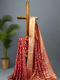 Pure Tissue Silk Ikkat Saree