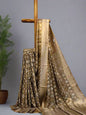 Pure Tissue Silk Ikkat Saree